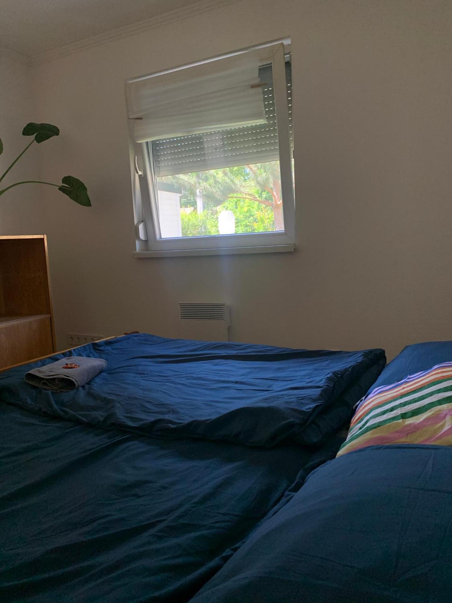 Marika Vendeghaz Villa Szigetmonostor Kültér fotó
